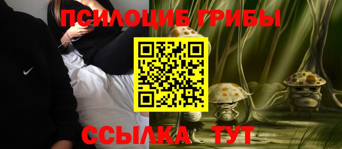 Псилоцибиновые грибы Psilocybe Шарыпово